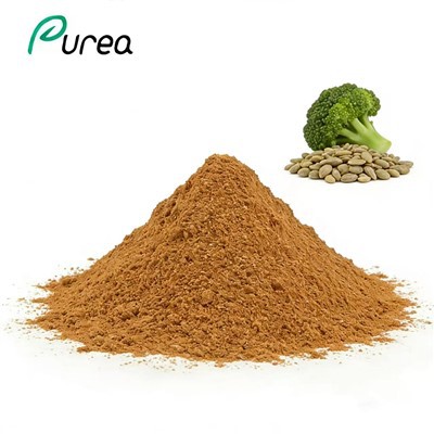 Порошок экстракта семян брокколи
