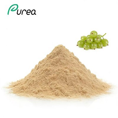 Порошок экстракта крыжовника