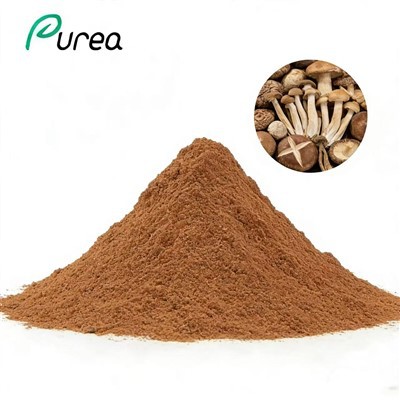 Органический порошок смеси экстрактов грибов