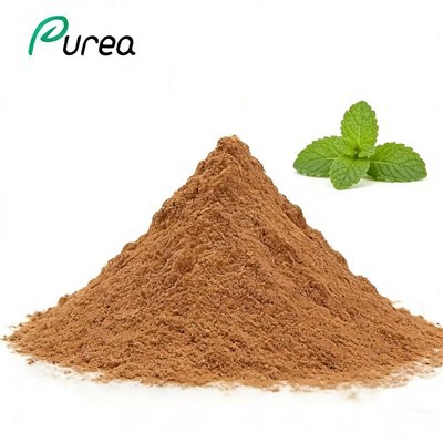 Чистый порошок экстракта перечной мяты